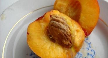 Jak si můžete doma vypěstovat nektarinku ze semínka?